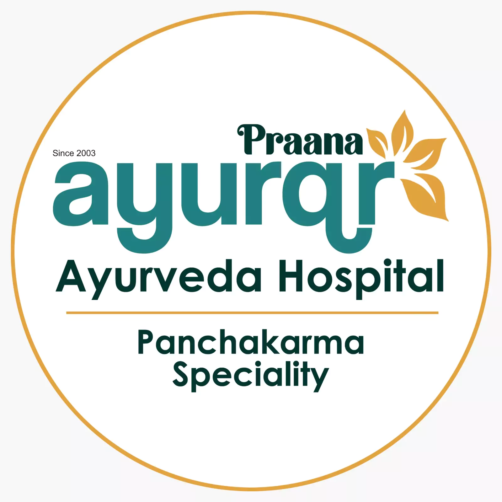 Ayurqr Logo
